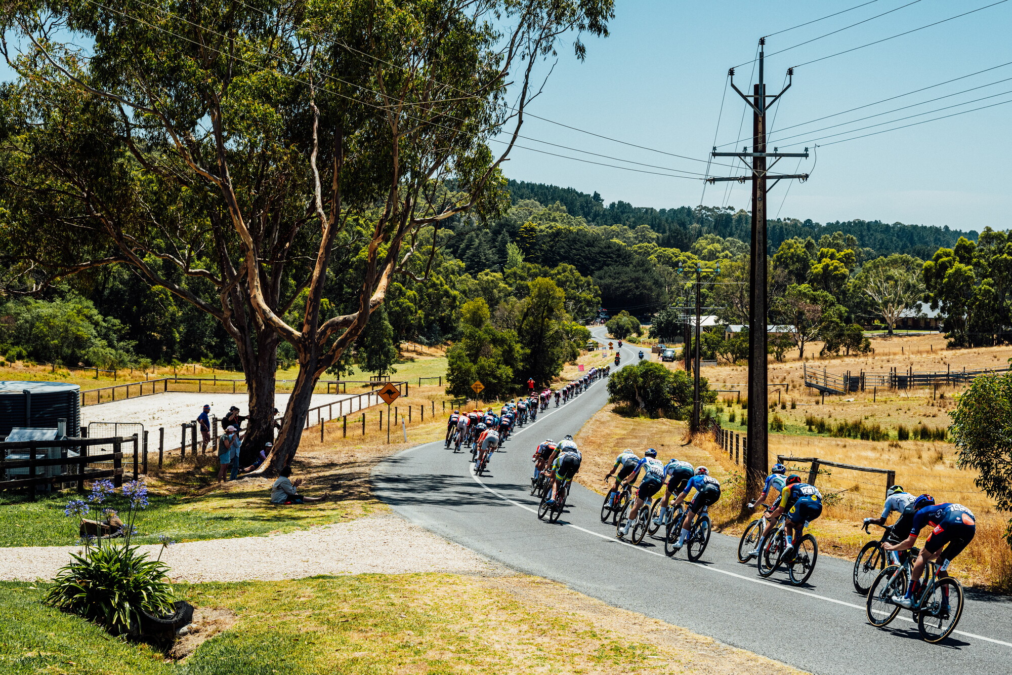 cyclingimages-TDU-2026-Mens Stage 5-836103.jpg