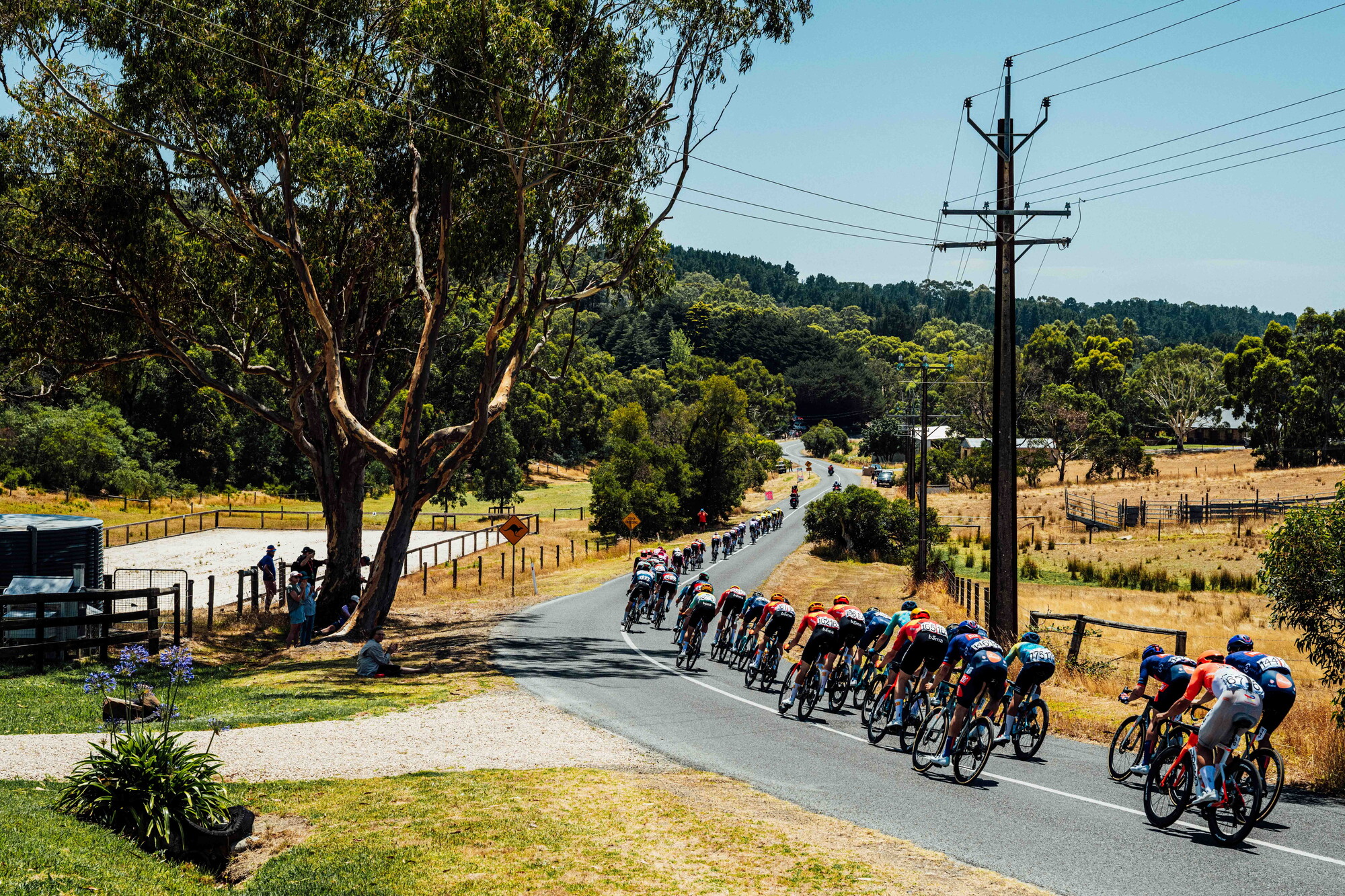 cyclingimages-TDU-2026-Mens Stage 5-836069.jpg