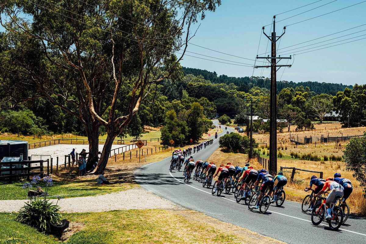 cyclingimages-TDU-2026-Mens Stage 5-836069.jpg