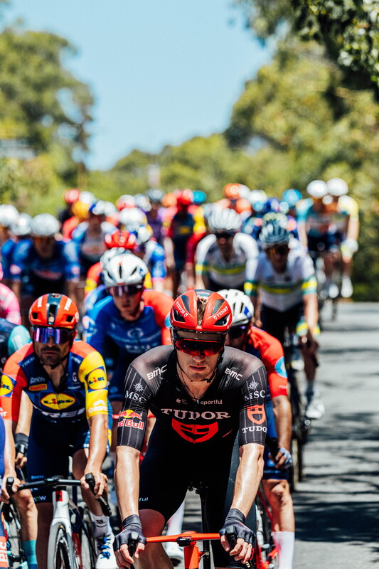 cyclingimages-TDU-2026-Mens Stage 5-826398.jpg