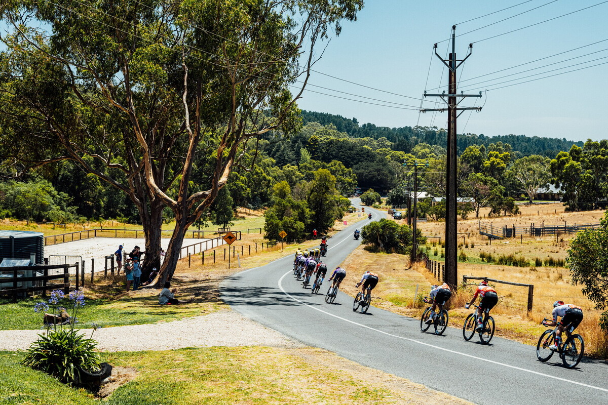 cyclingimages-TDU-2026-Mens Stage 5-836006.jpg