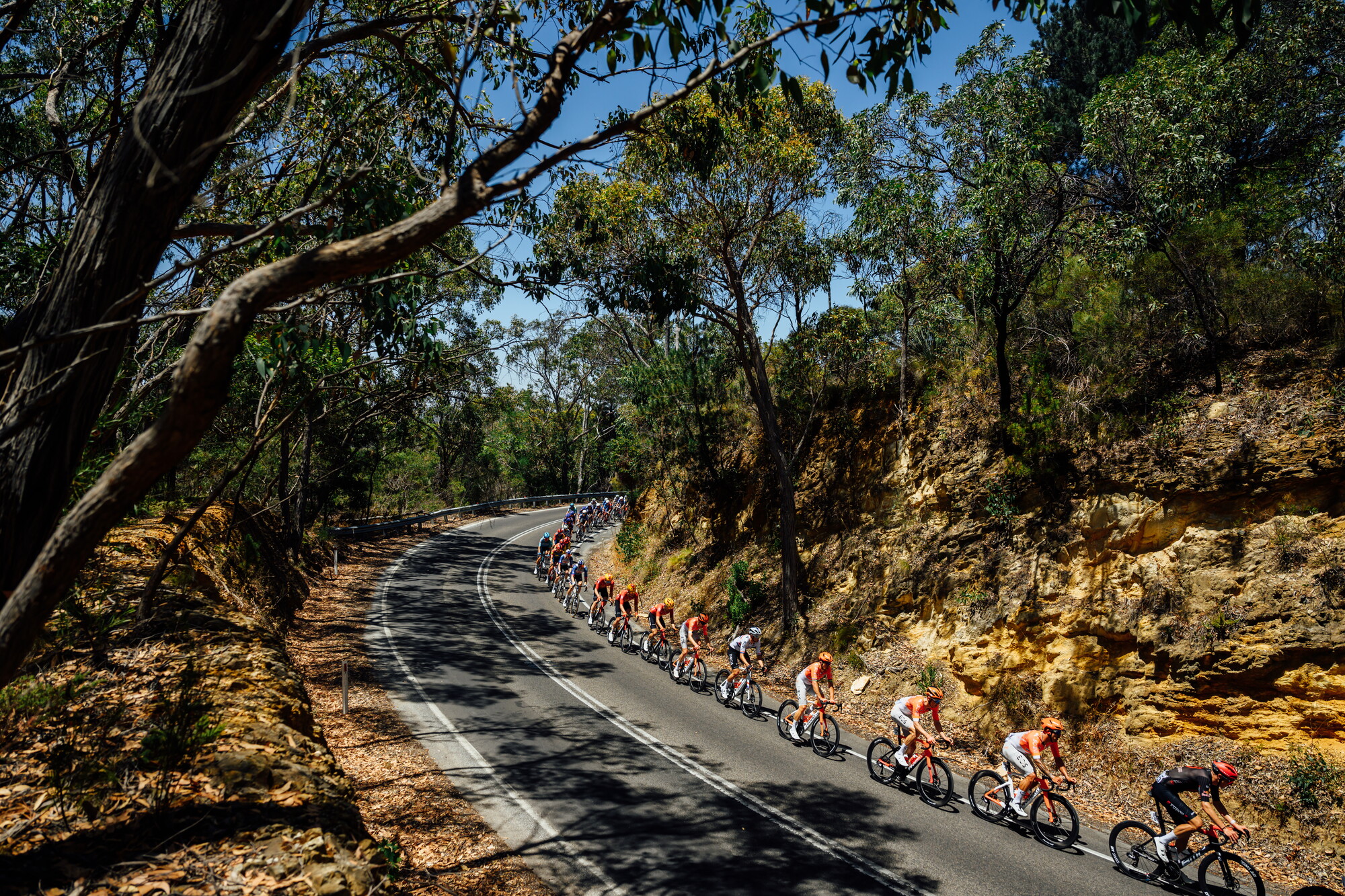CAuldPhoto-2026-TDU-Stage5-Men-7467.jpg