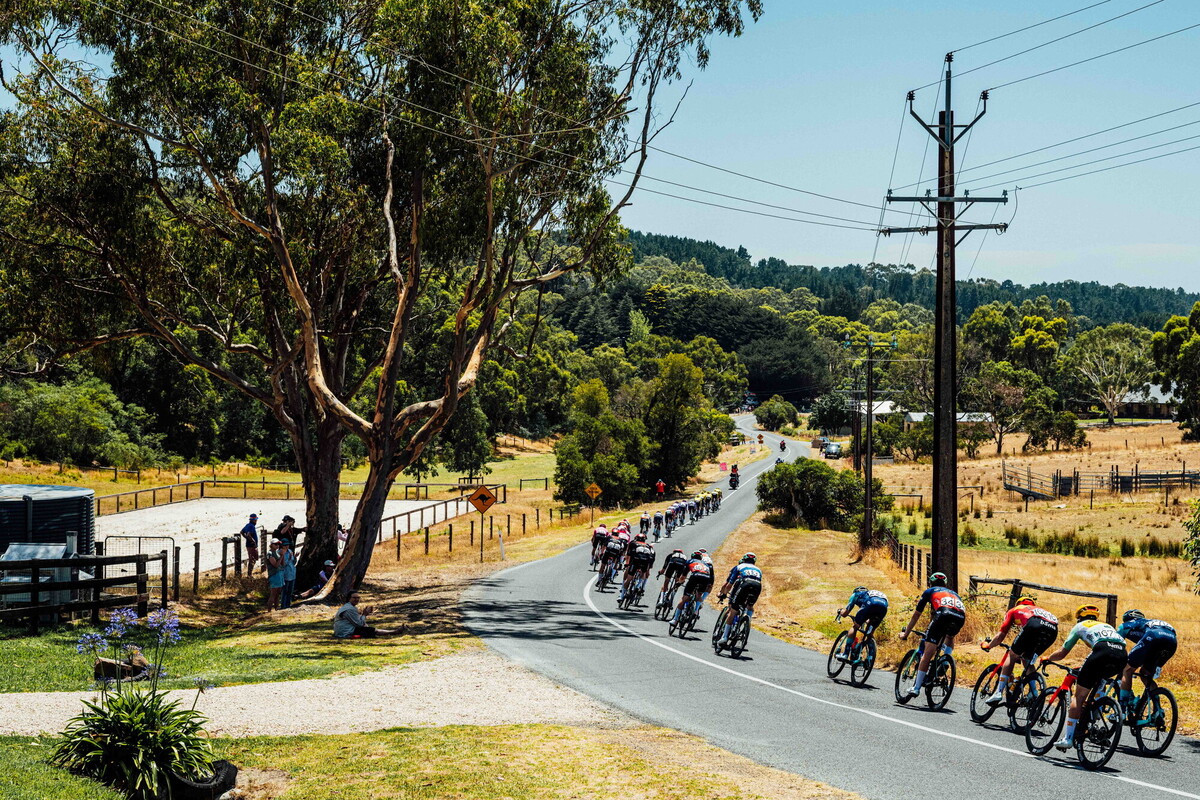 cyclingimages-TDU-2026-Mens Stage 5-836053.jpg
