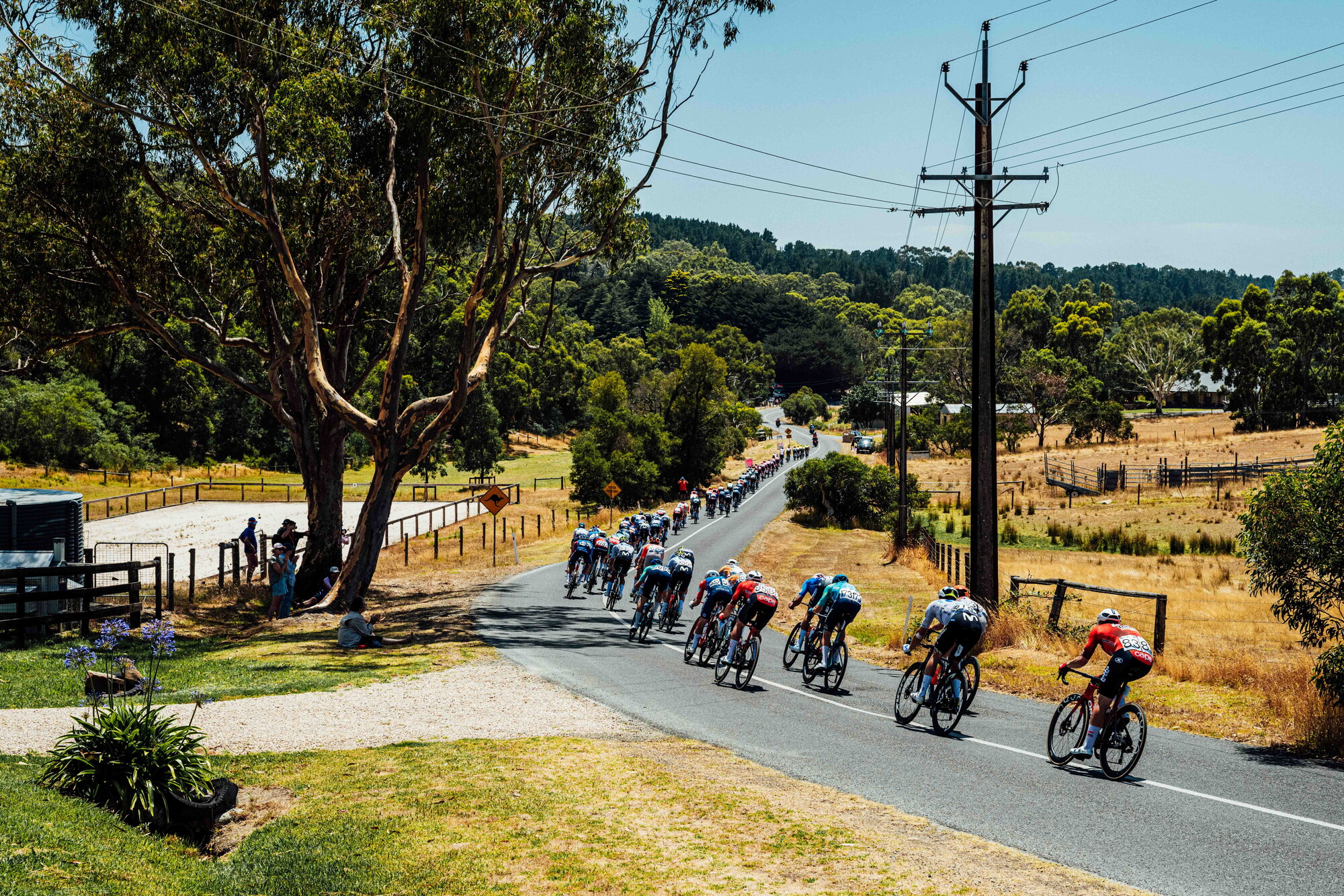 cyclingimages-TDU-2026-Mens Stage 5-836150.jpg