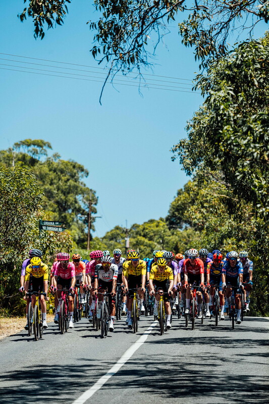 cyclingimages-TDU-2026-Mens Stage 5-826357.jpg