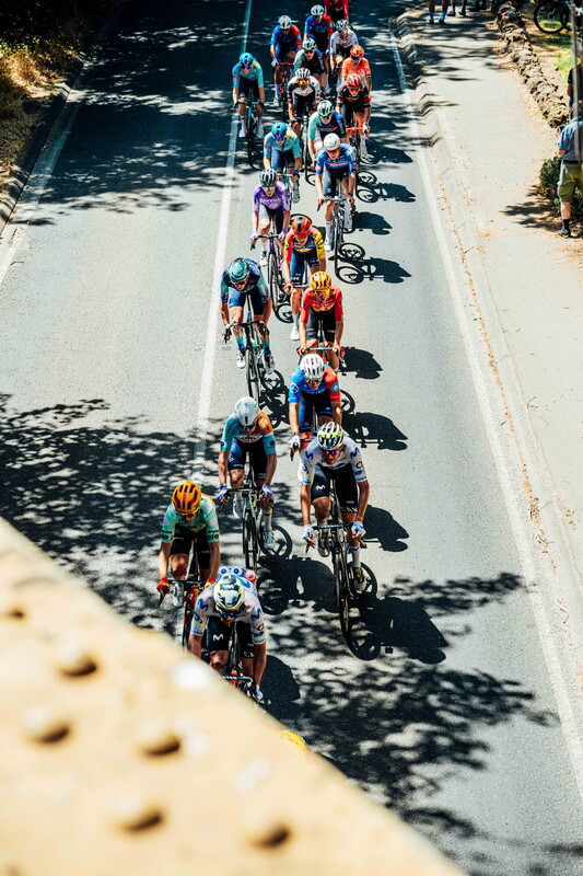 cyclingimages-TDU-2026-Mens Stage 5-835756.jpg