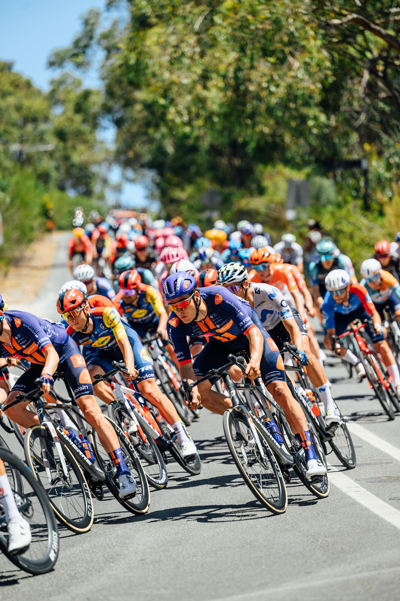 CAuldPhoto-2026-TDU-Stage5-Men-8047.jpg