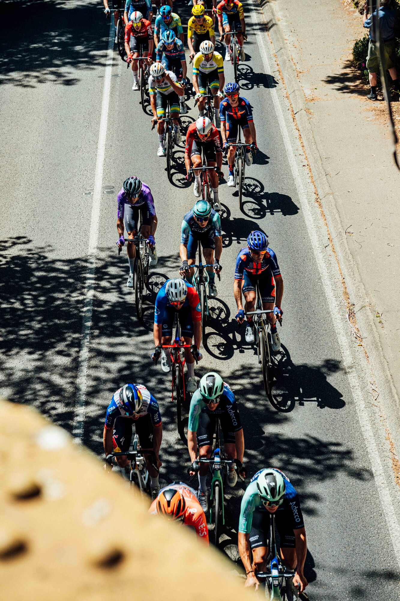 cyclingimages-TDU-2026-Mens Stage 5-835664.jpg