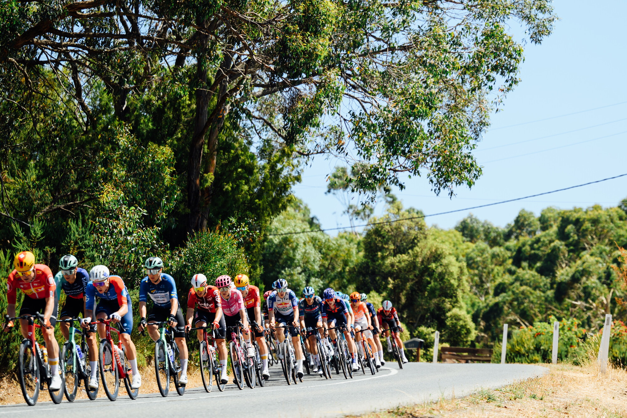 CAuldPhoto-2026-TDU-Stage5-Men-7146.jpg