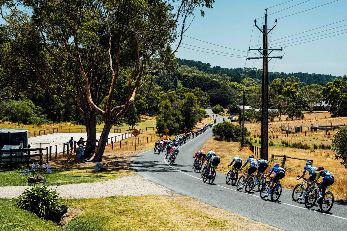 cyclingimages-TDU-2026-Mens Stage 5-836100.jpg