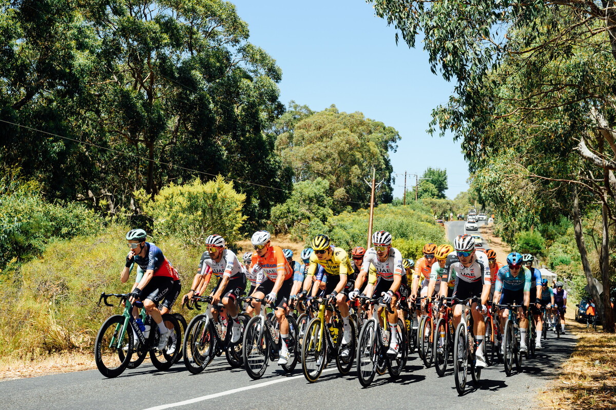 CAuldPhoto-2026-TDU-Stage5-Men-6966.jpg