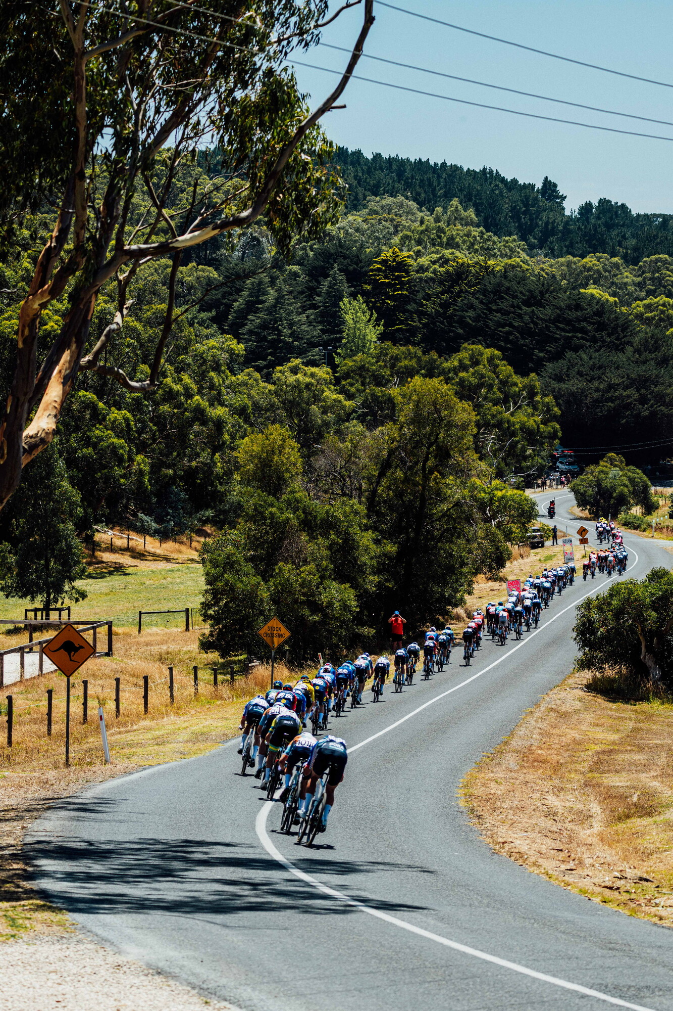 cyclingimages-TDU-2026-Mens Stage 5-826060.jpg