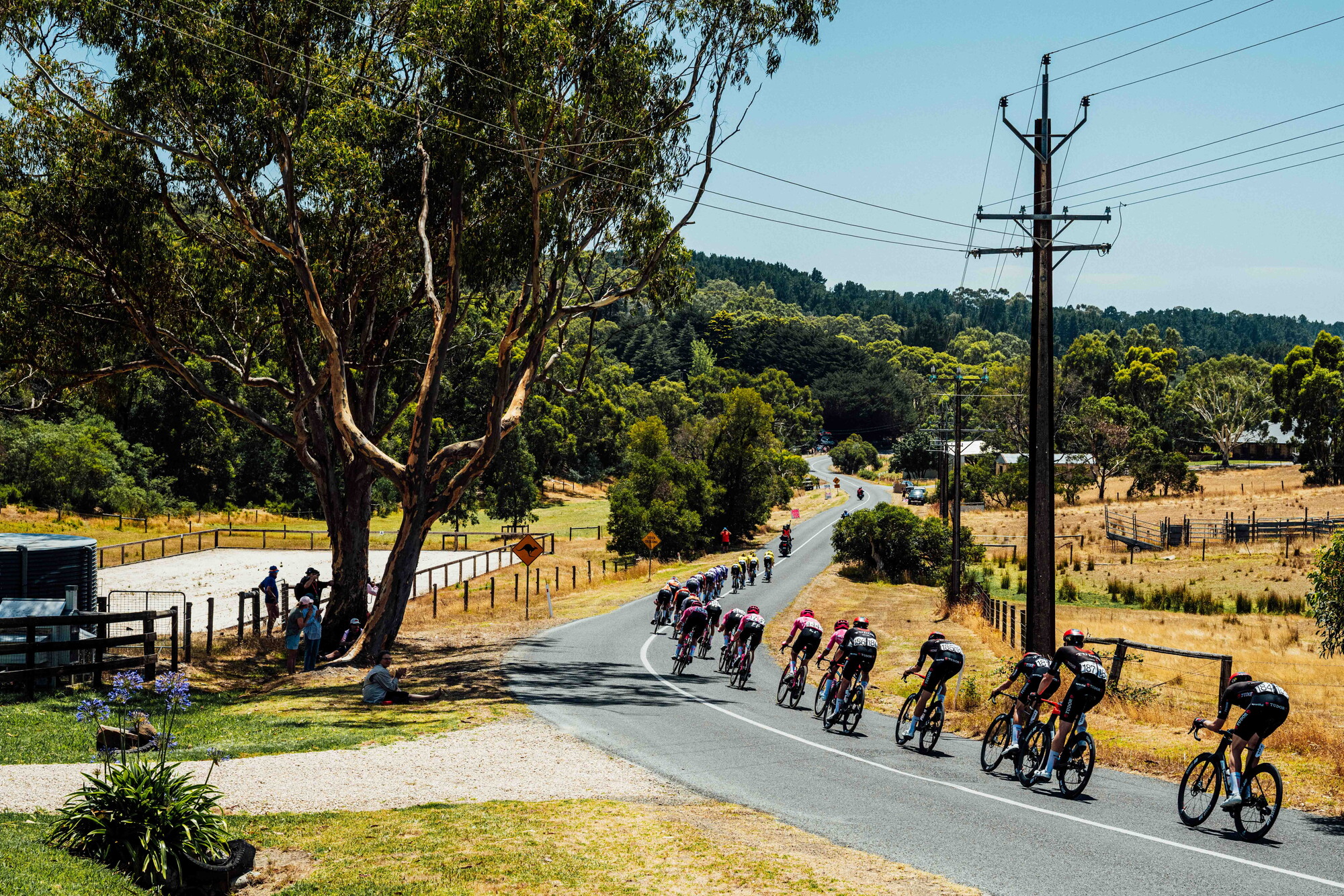 cyclingimages-TDU-2026-Mens Stage 5-836034.jpg