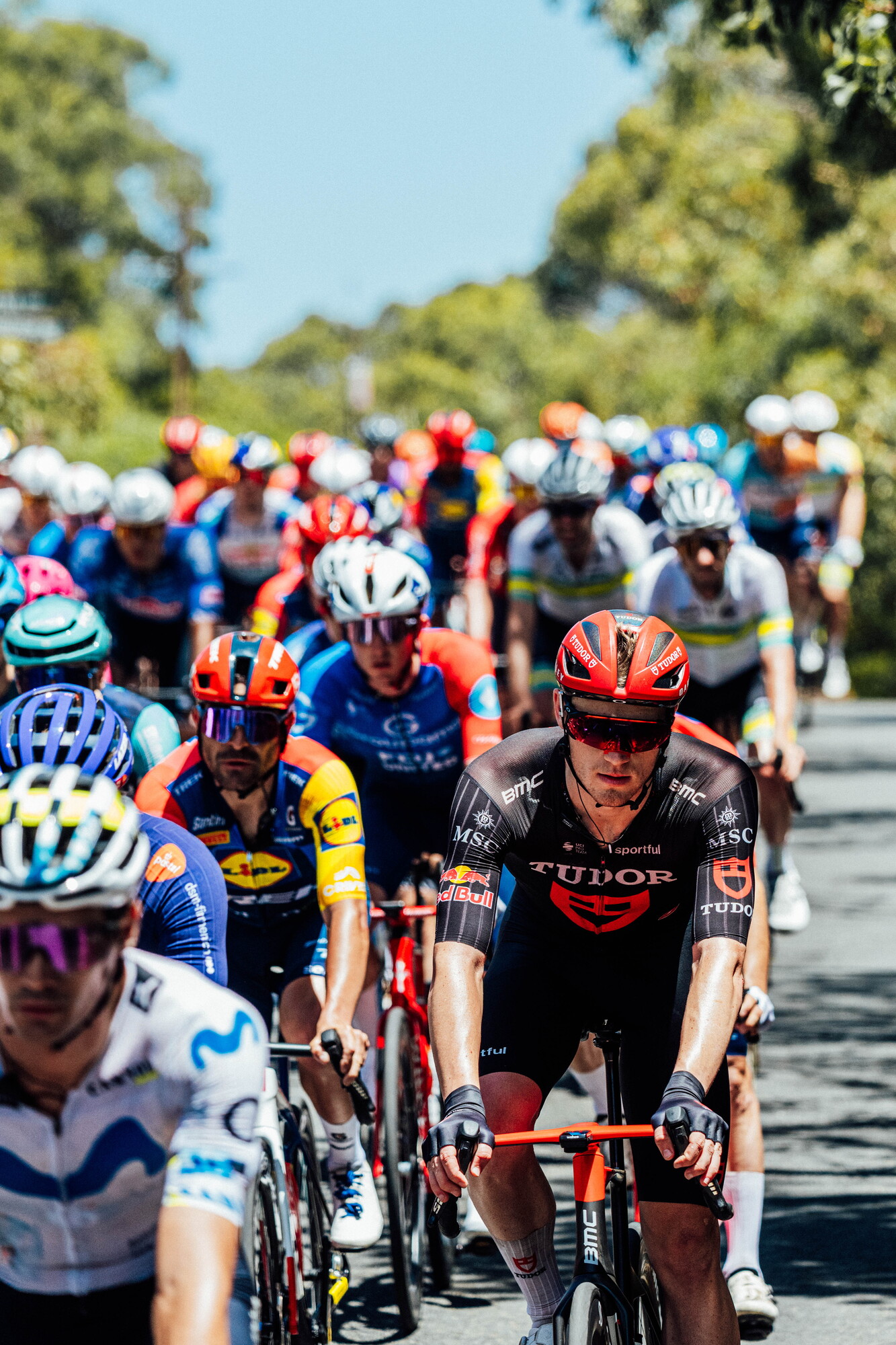 cyclingimages-TDU-2026-Mens Stage 5-826395.jpg