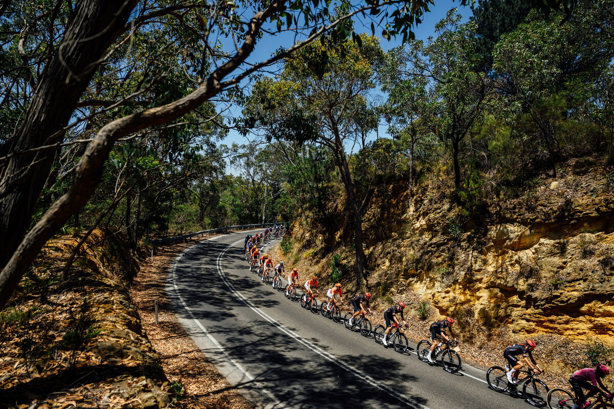 CAuldPhoto-2026-TDU-Stage5-Men-7459.jpg