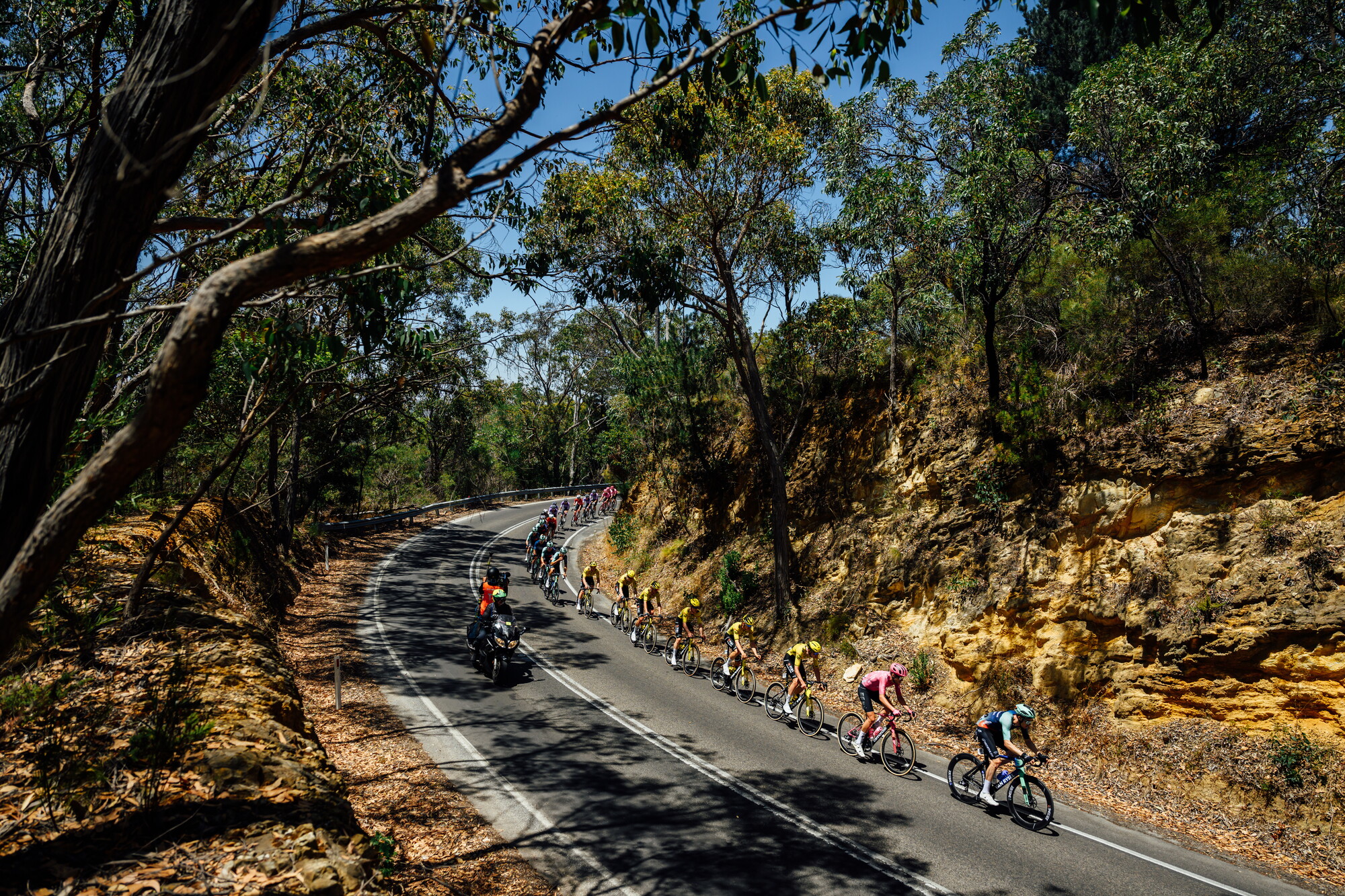 CAuldPhoto-2026-TDU-Stage5-Men-7390.jpg