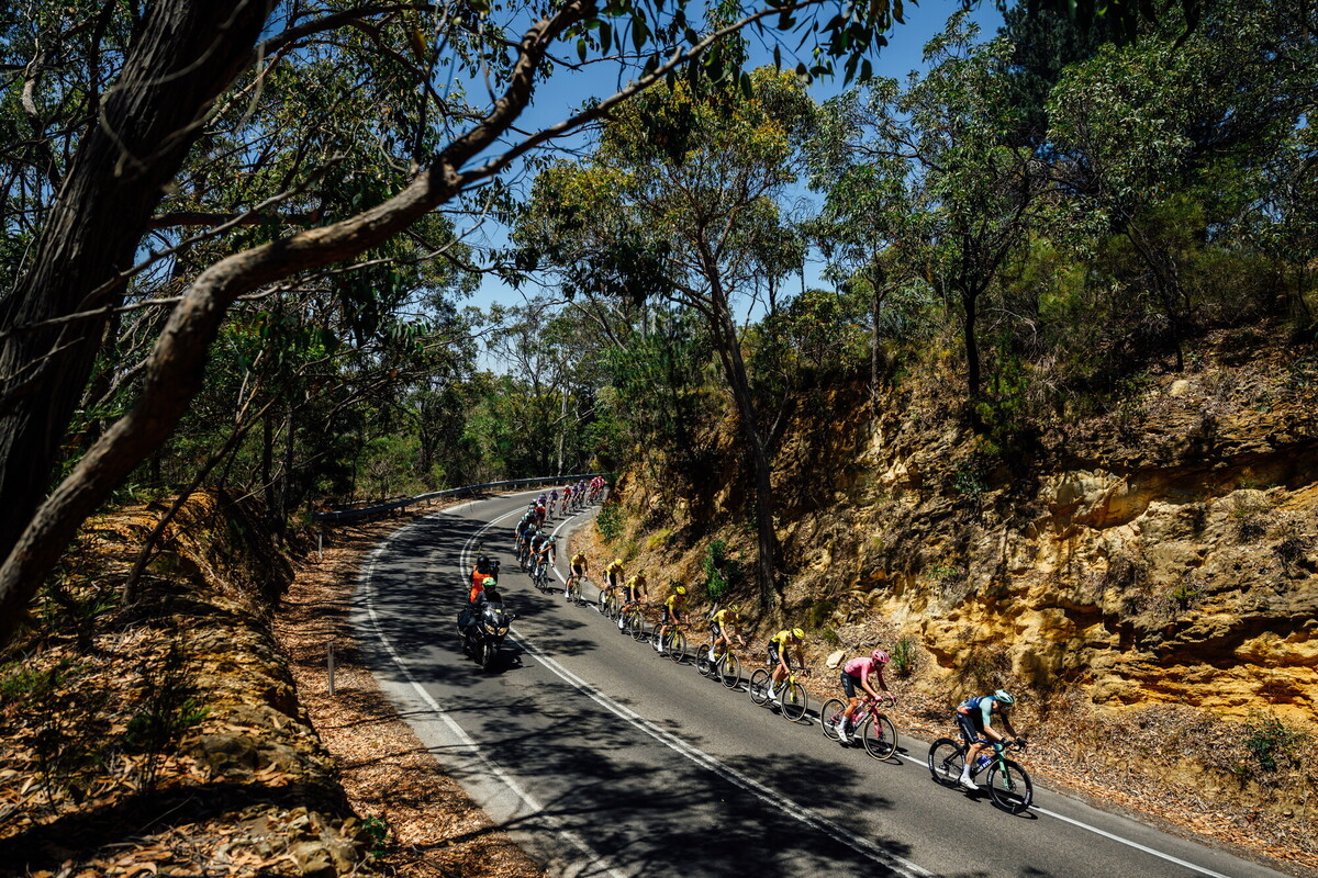 CAuldPhoto-2026-TDU-Stage5-Men-7390.jpg