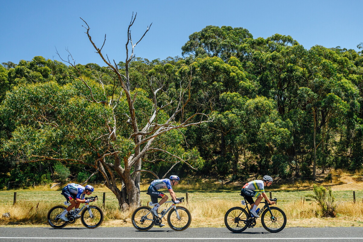 CAuldPhoto-2026-TDU-Stage5-Men-7321.jpg