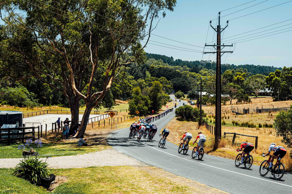 cyclingimages-TDU-2026-Mens Stage 5-836085.jpg
