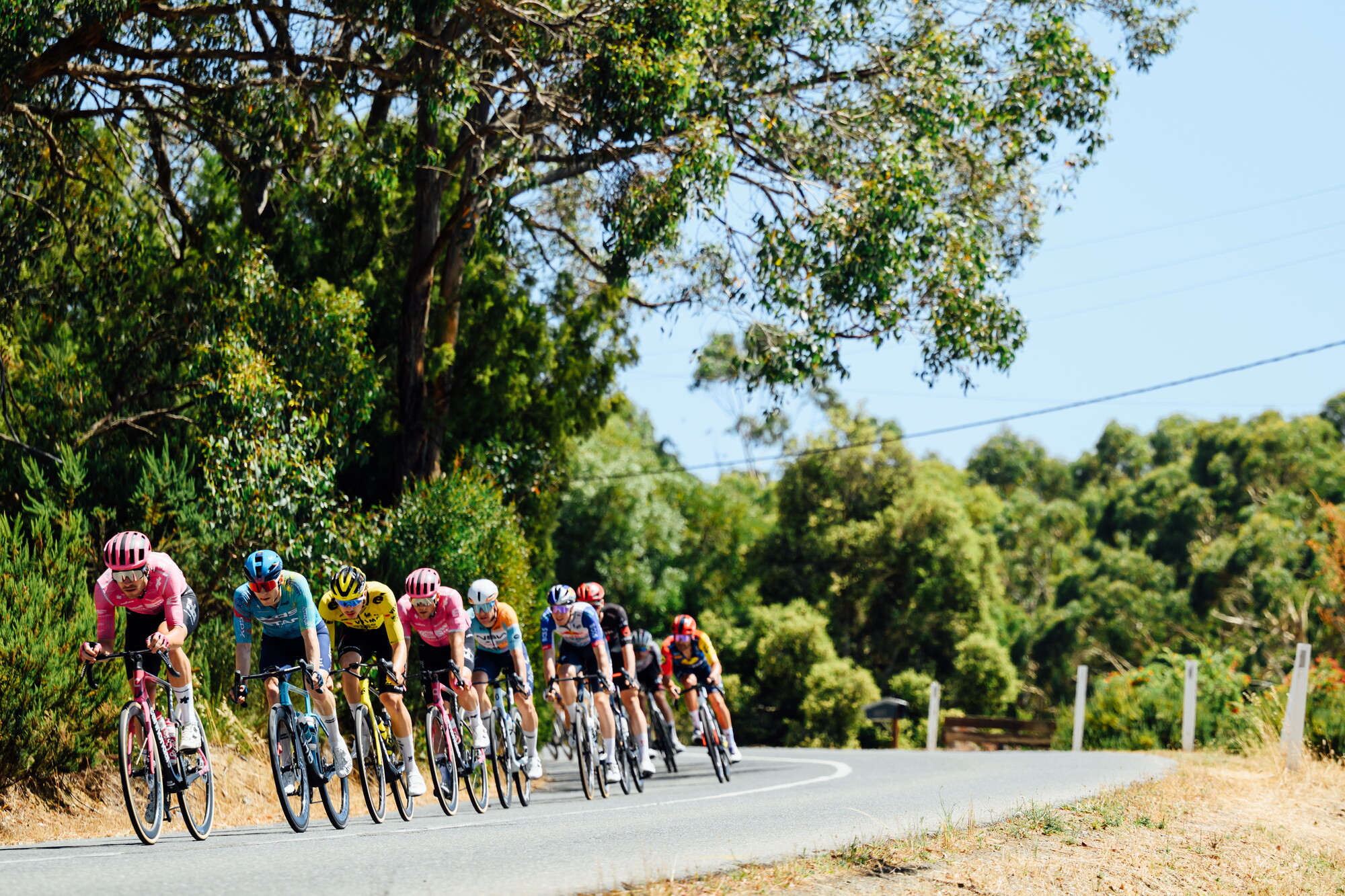 CAuldPhoto-2026-TDU-Stage5-Men-7109.jpg