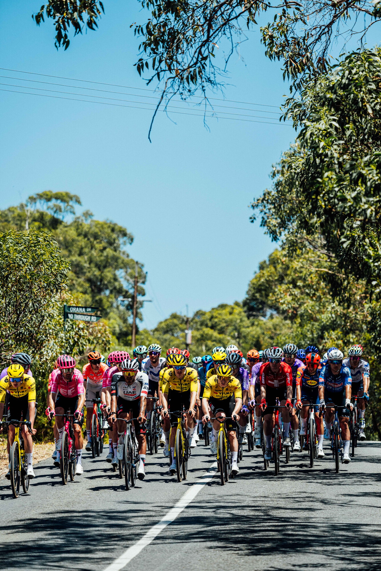 cyclingimages-TDU-2026-Mens Stage 5-826364.jpg