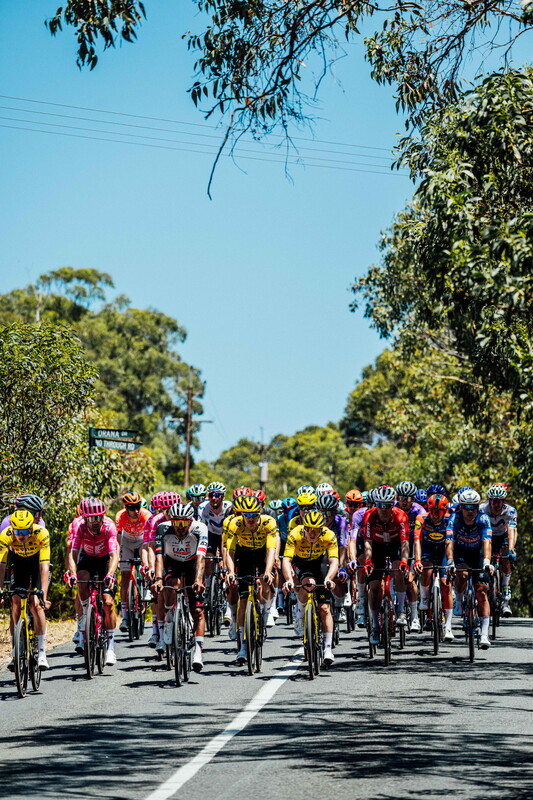 cyclingimages-TDU-2026-Mens Stage 5-826364.jpg