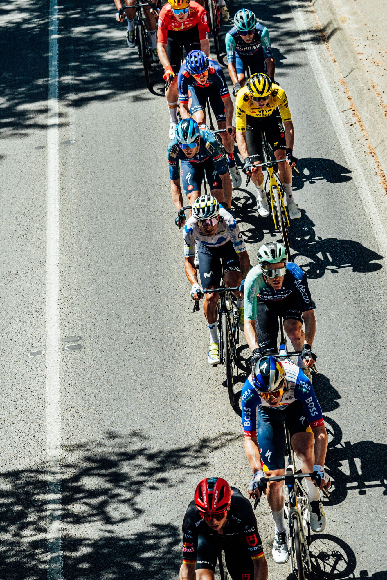 cyclingimages-TDU-2026-Mens Stage 5-835616.jpg