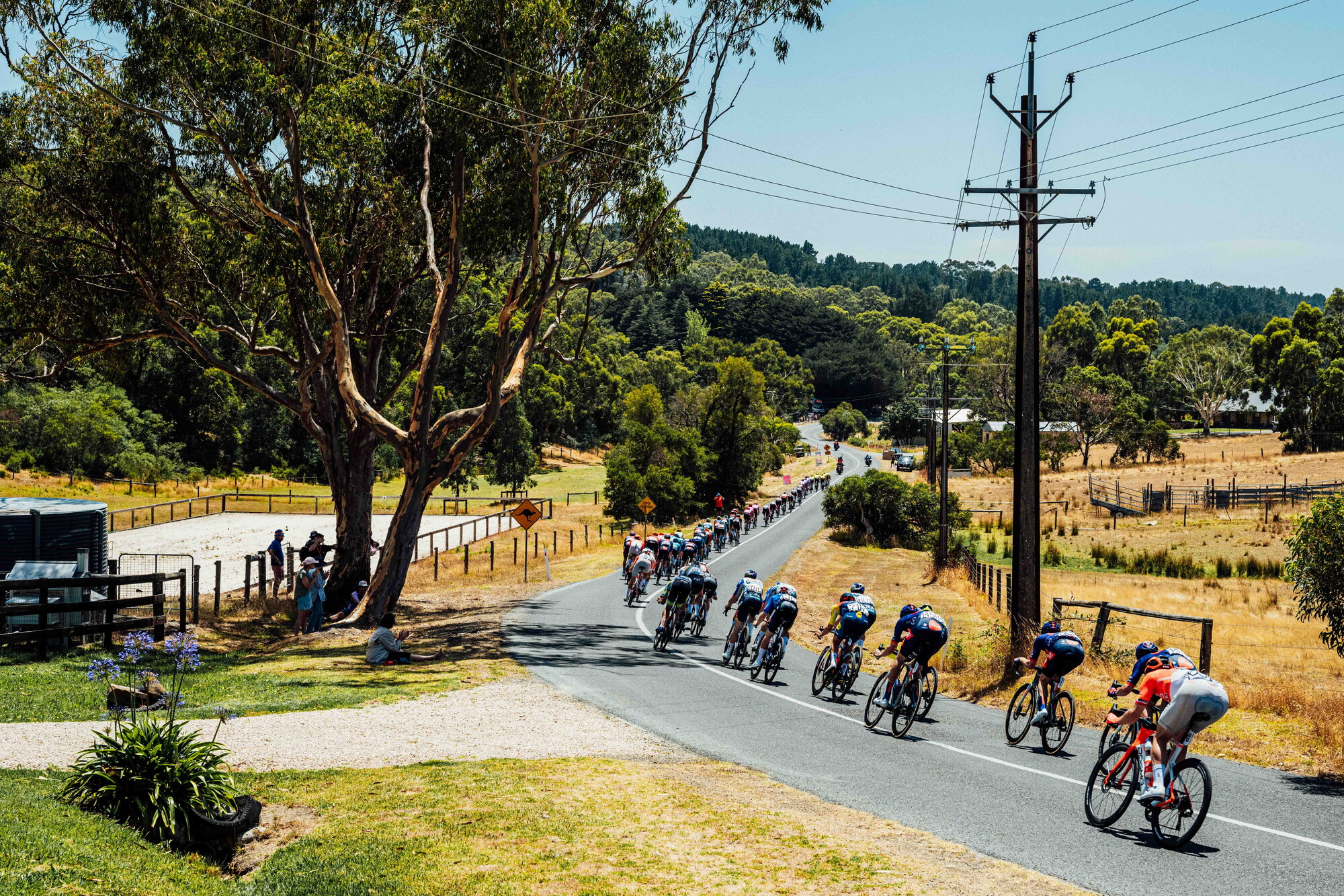 cyclingimages-TDU-2026-Mens Stage 5-836110.jpg