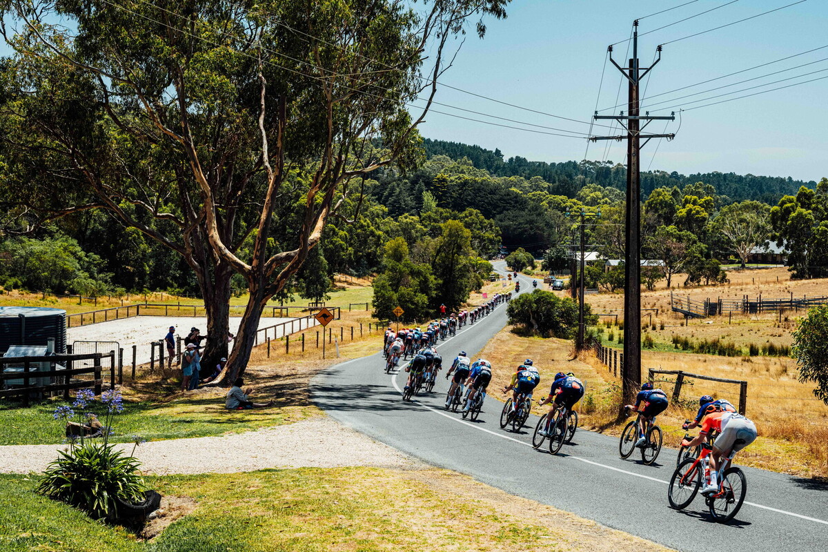 cyclingimages-TDU-2026-Mens Stage 5-836110.jpg