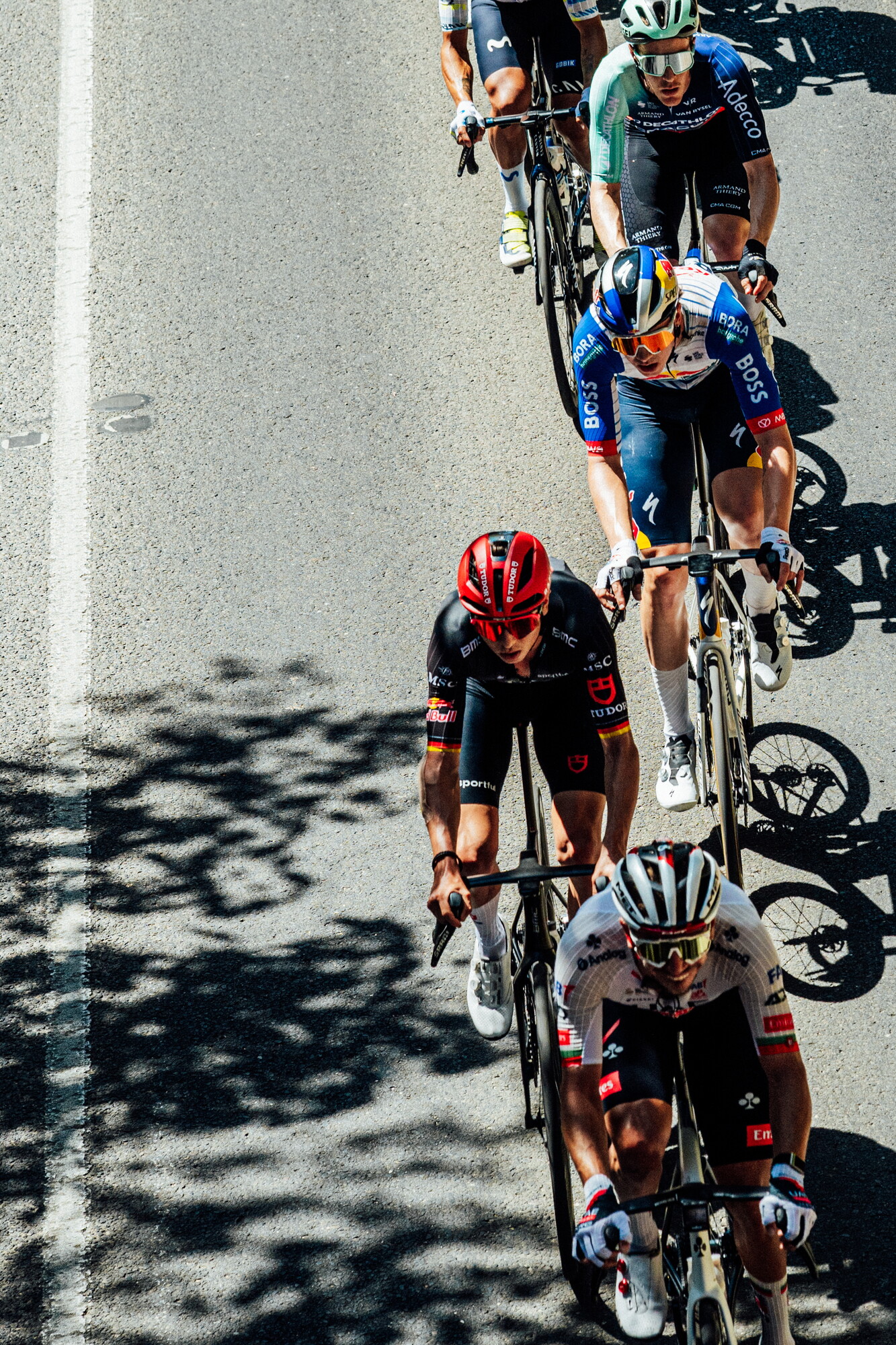 cyclingimages-TDU-2026-Mens Stage 5-835614.jpg