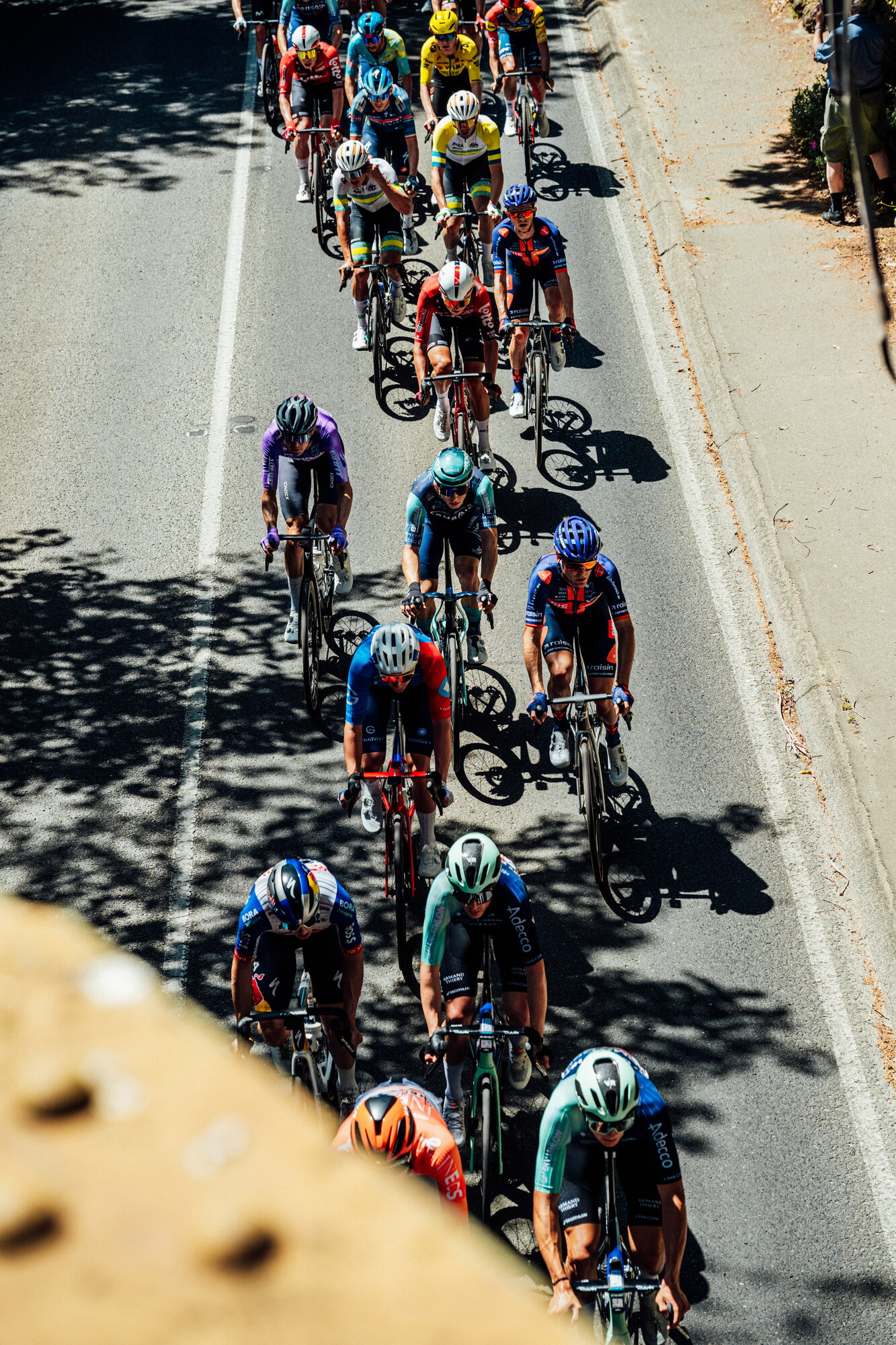 cyclingimages-TDU-2026-Mens Stage 5-835664.jpg