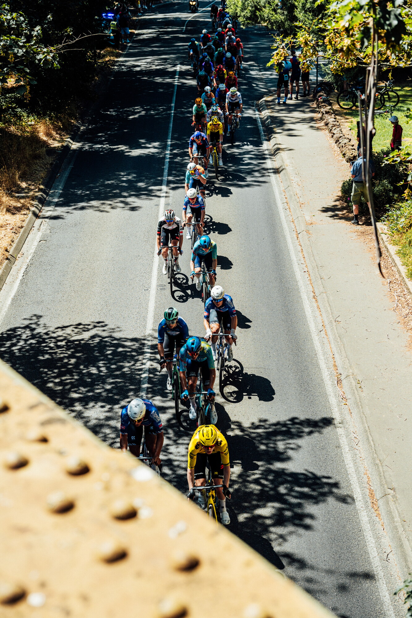 cyclingimages-TDU-2026-Mens Stage 5-835730.jpg