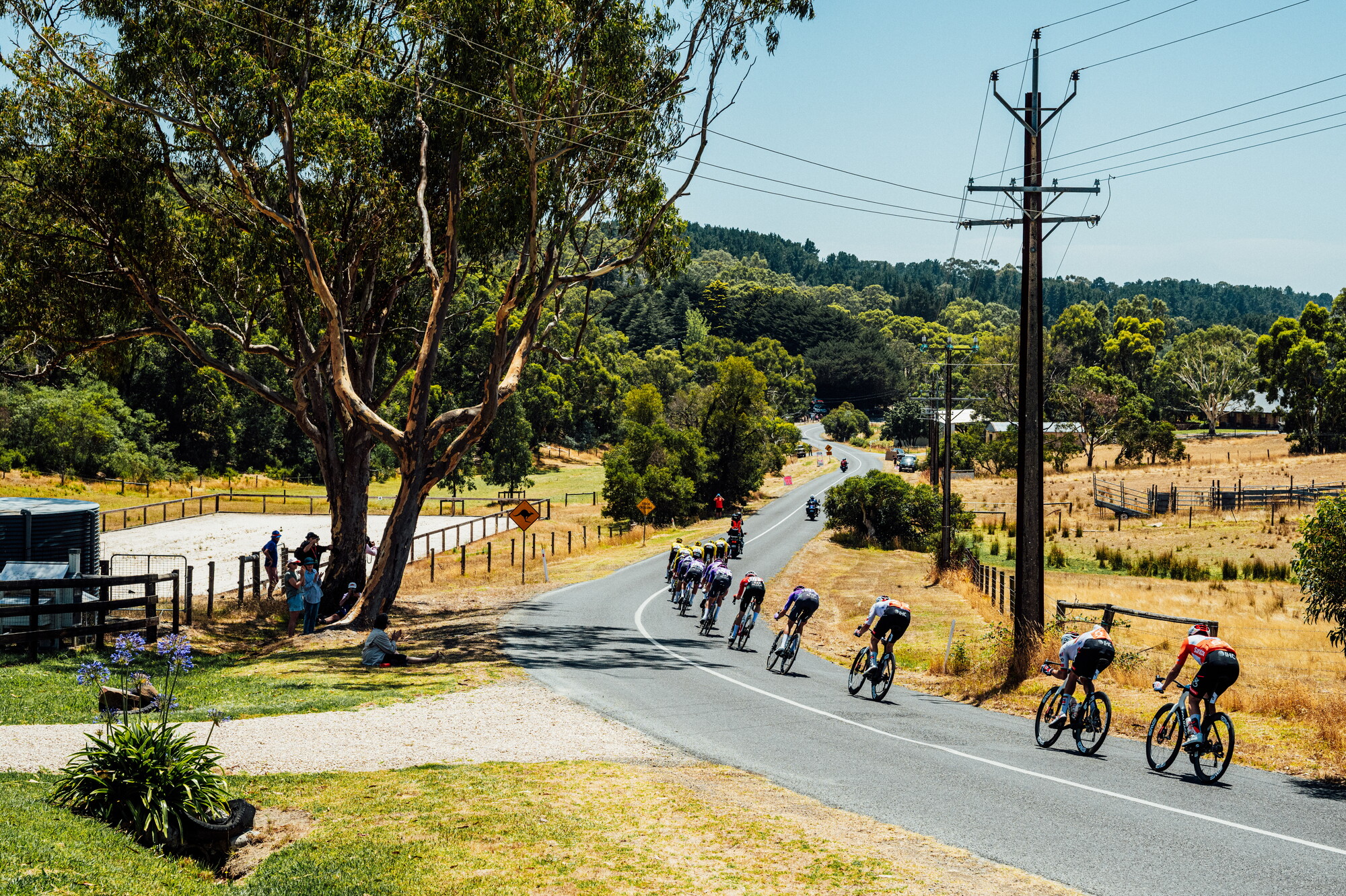 cyclingimages-TDU-2026-Mens Stage 5-836004.jpg