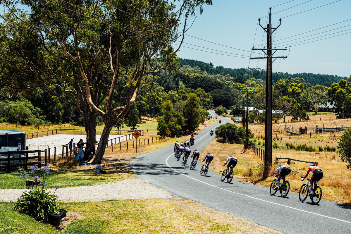 cyclingimages-TDU-2026-Mens Stage 5-836004.jpg