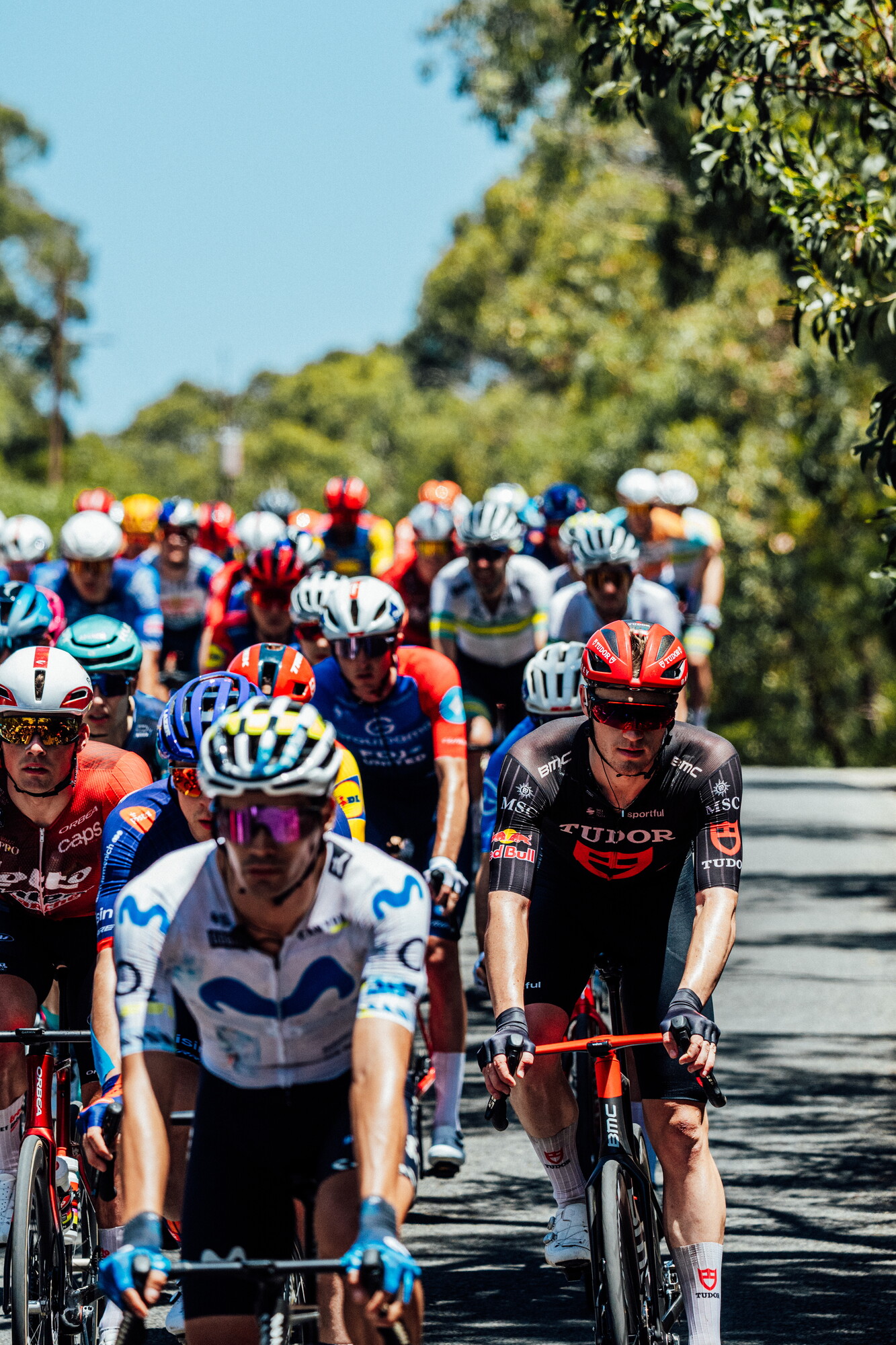 cyclingimages-TDU-2026-Mens Stage 5-826390.jpg