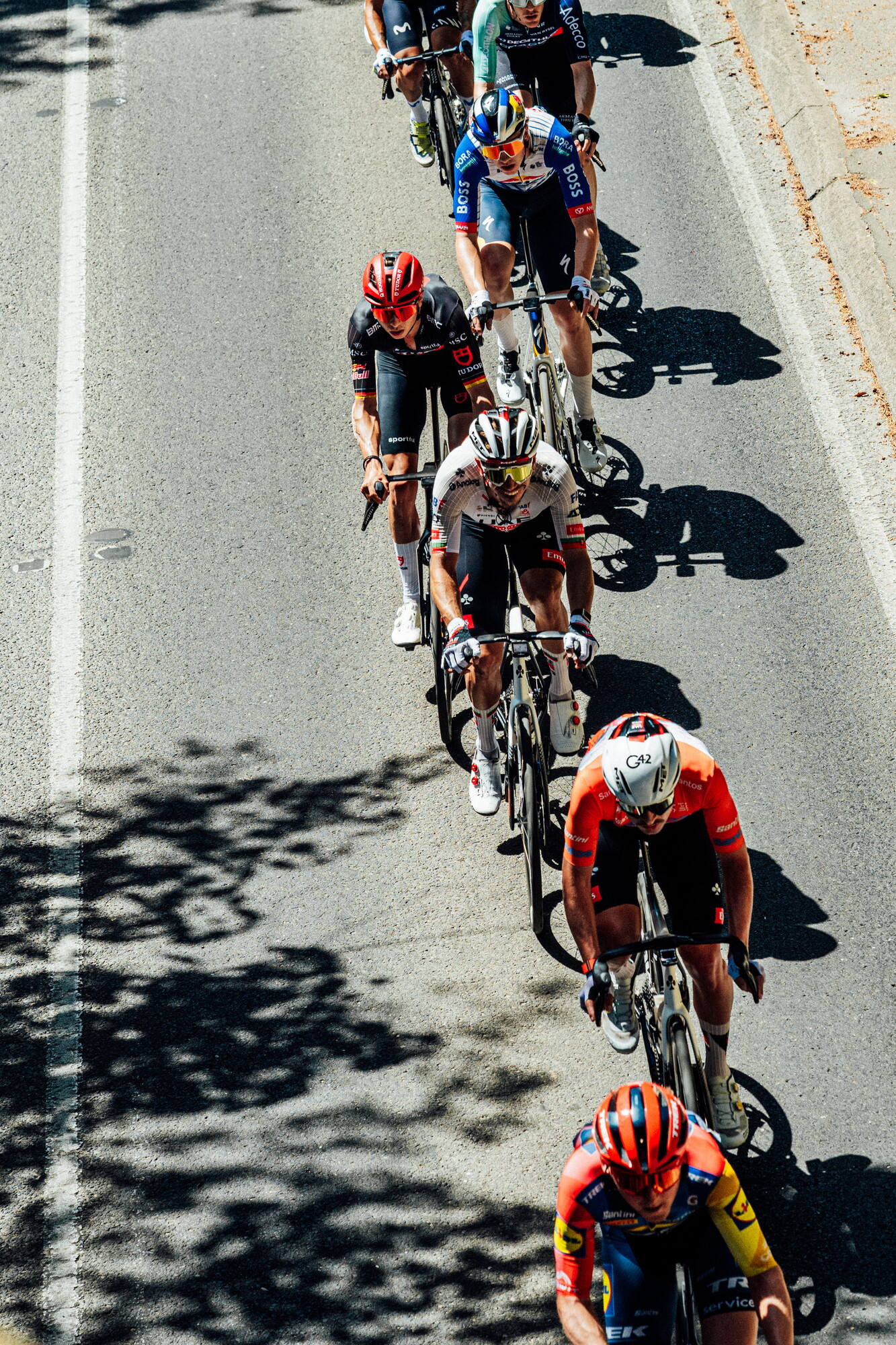 cyclingimages-TDU-2026-Mens Stage 5-835609.jpg