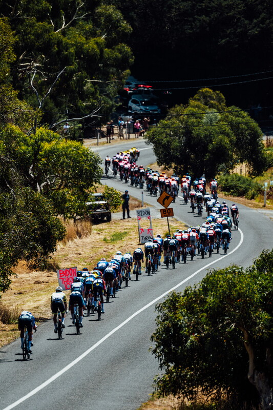 cyclingimages-TDU-2026-Mens Stage 5-826117.jpg