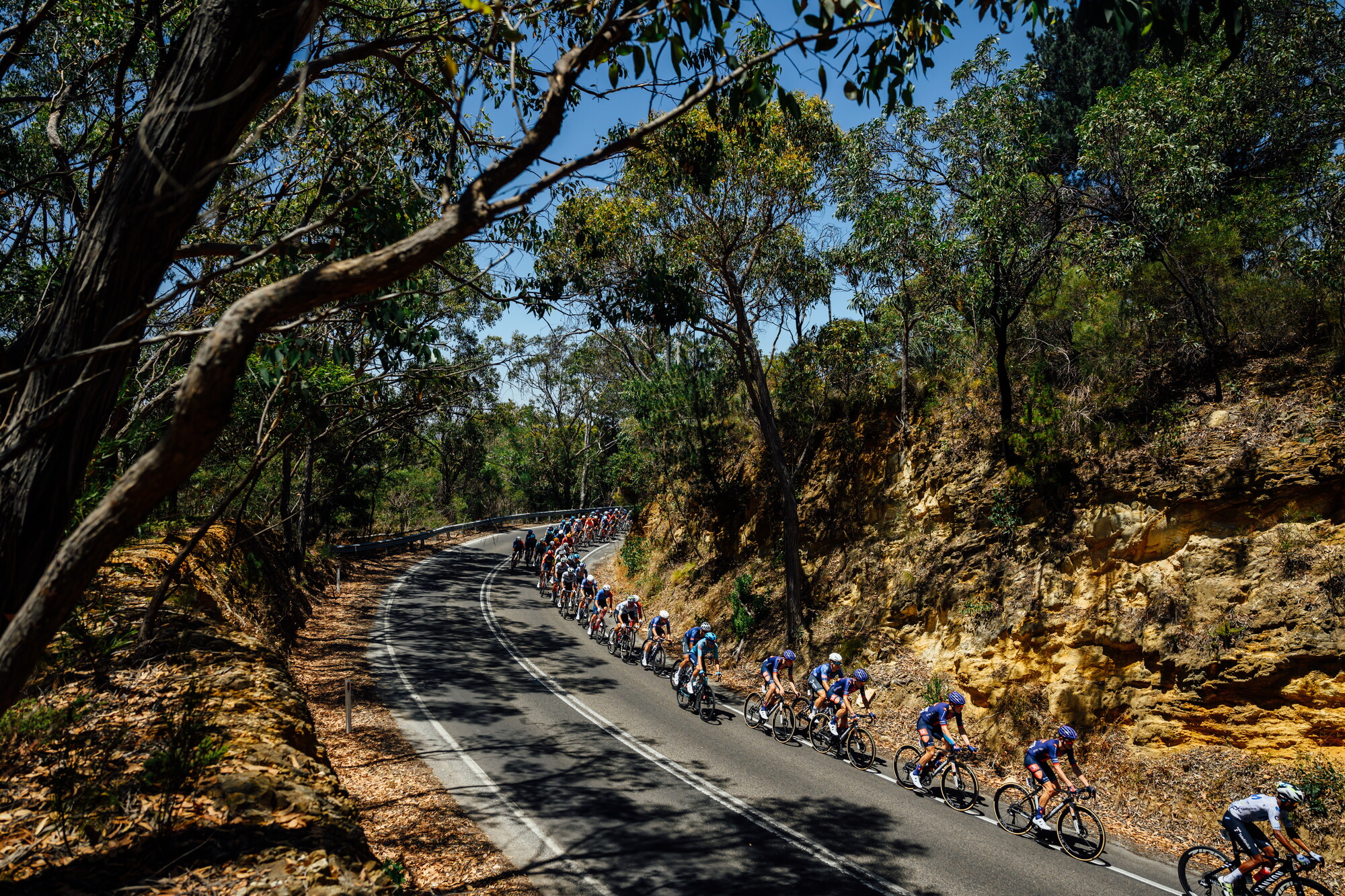 CAuldPhoto-2026-TDU-Stage5-Men-7502.jpg