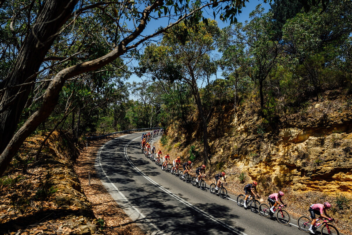CAuldPhoto-2026-TDU-Stage5-Men-7456.jpg