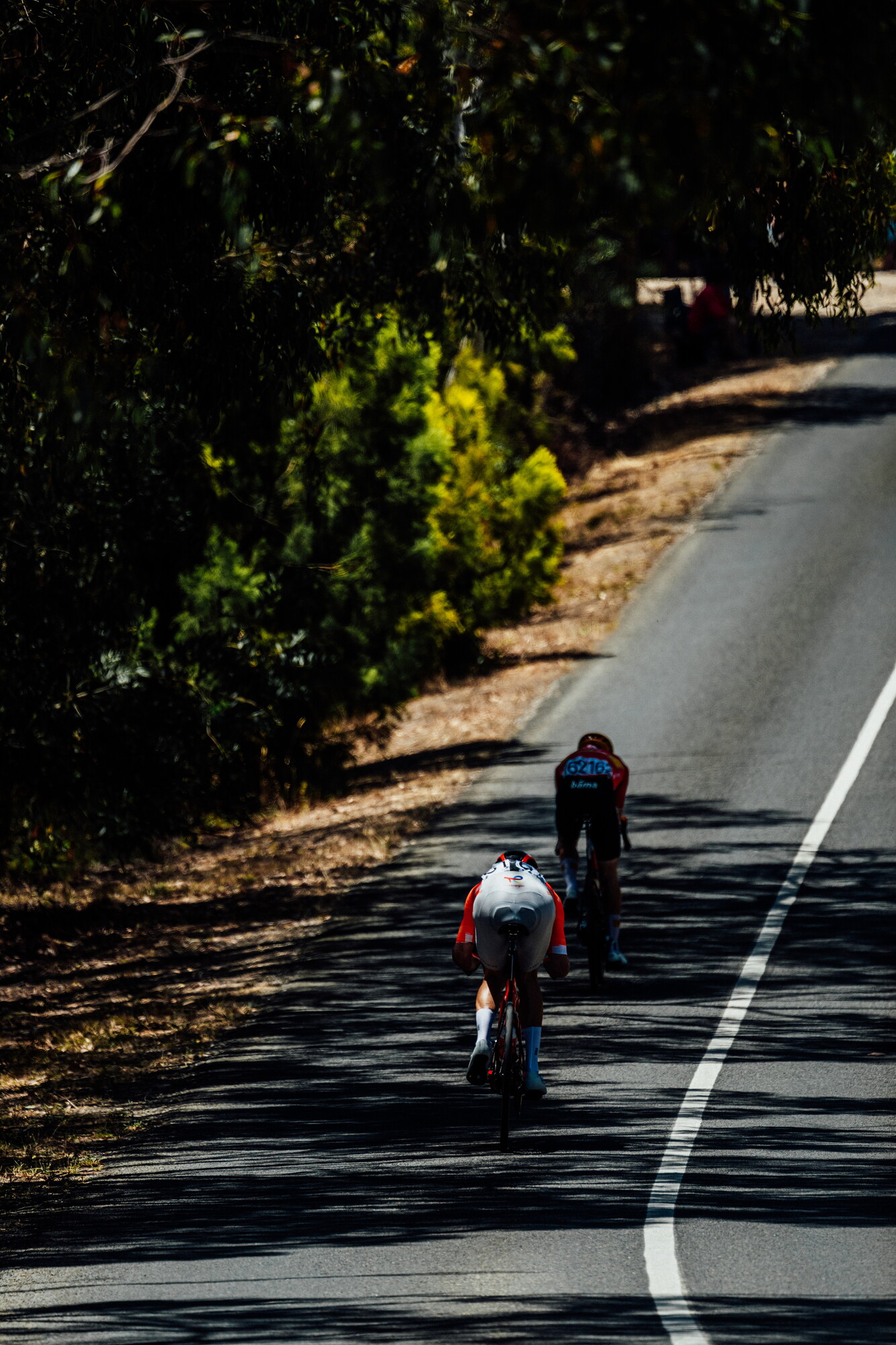 cyclingimages-TDU-2026-Mens Stage 5-826714.jpg