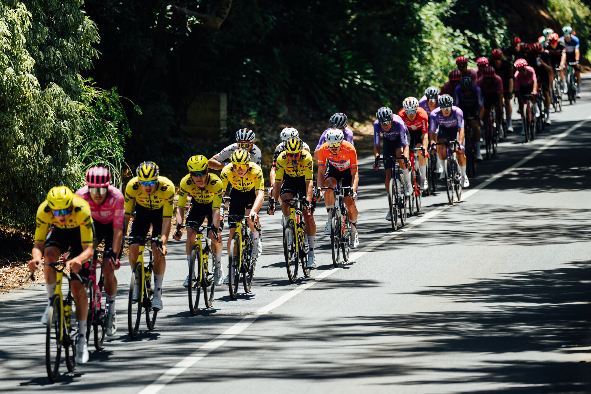 CAuldPhoto-2026-TDU-Stage5-Men-7667.jpg