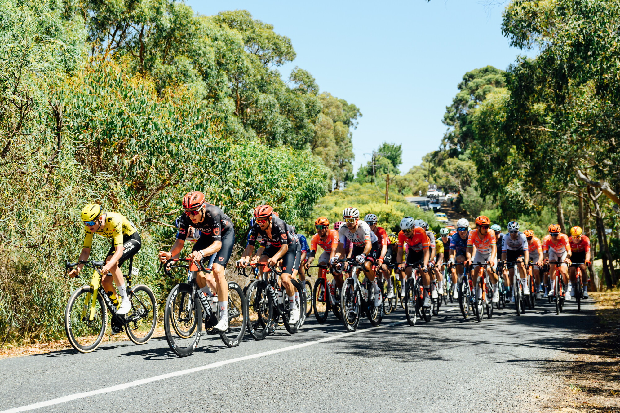 CAuldPhoto-2026-TDU-Stage5-Men-7579.jpg