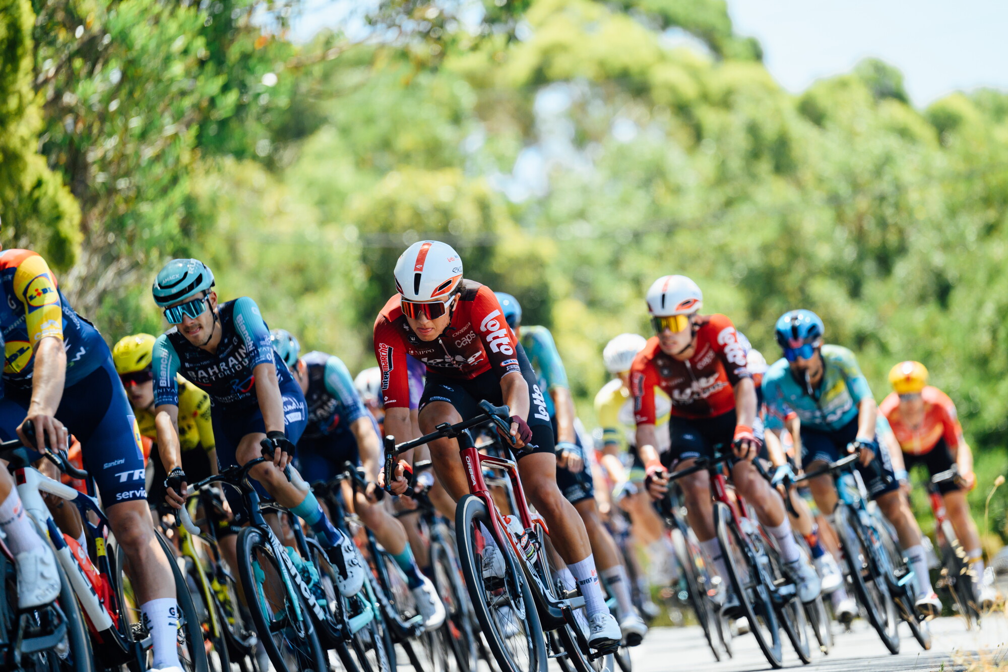 CAuldPhoto-2026-TDU-Stage5-Men-8251.jpg
