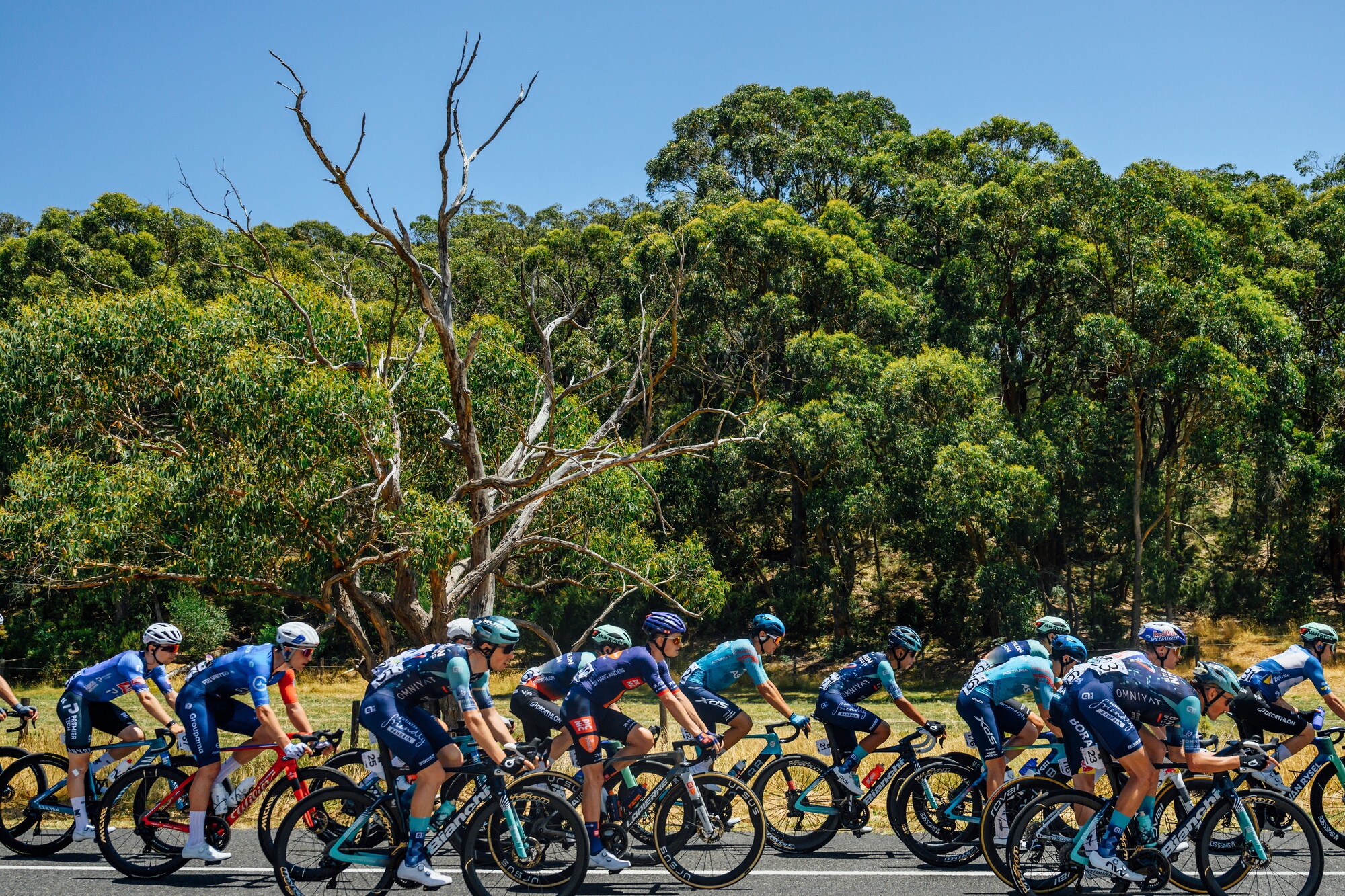 CAuldPhoto-2026-TDU-Stage5-Men-7269.jpg