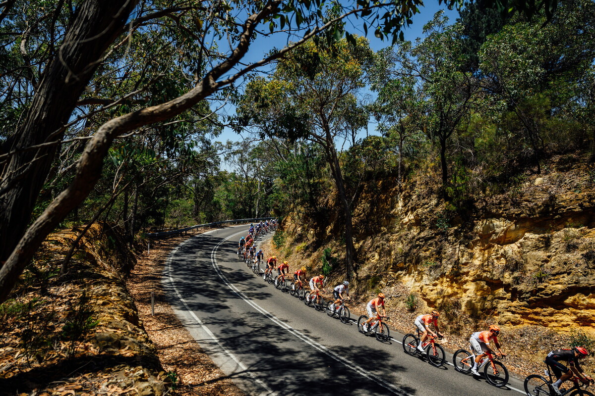 CAuldPhoto-2026-TDU-Stage5-Men-7468.jpg