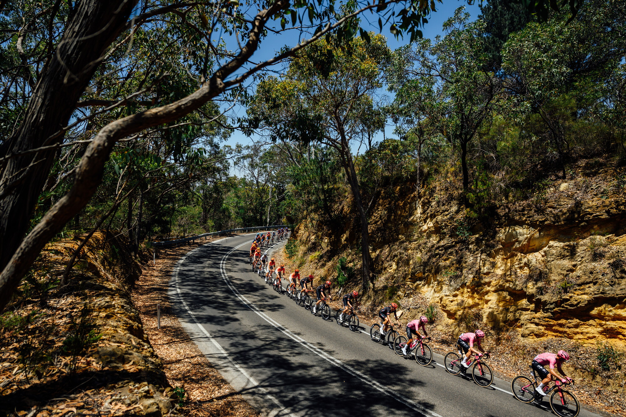 CAuldPhoto-2026-TDU-Stage5-Men-7453.jpg