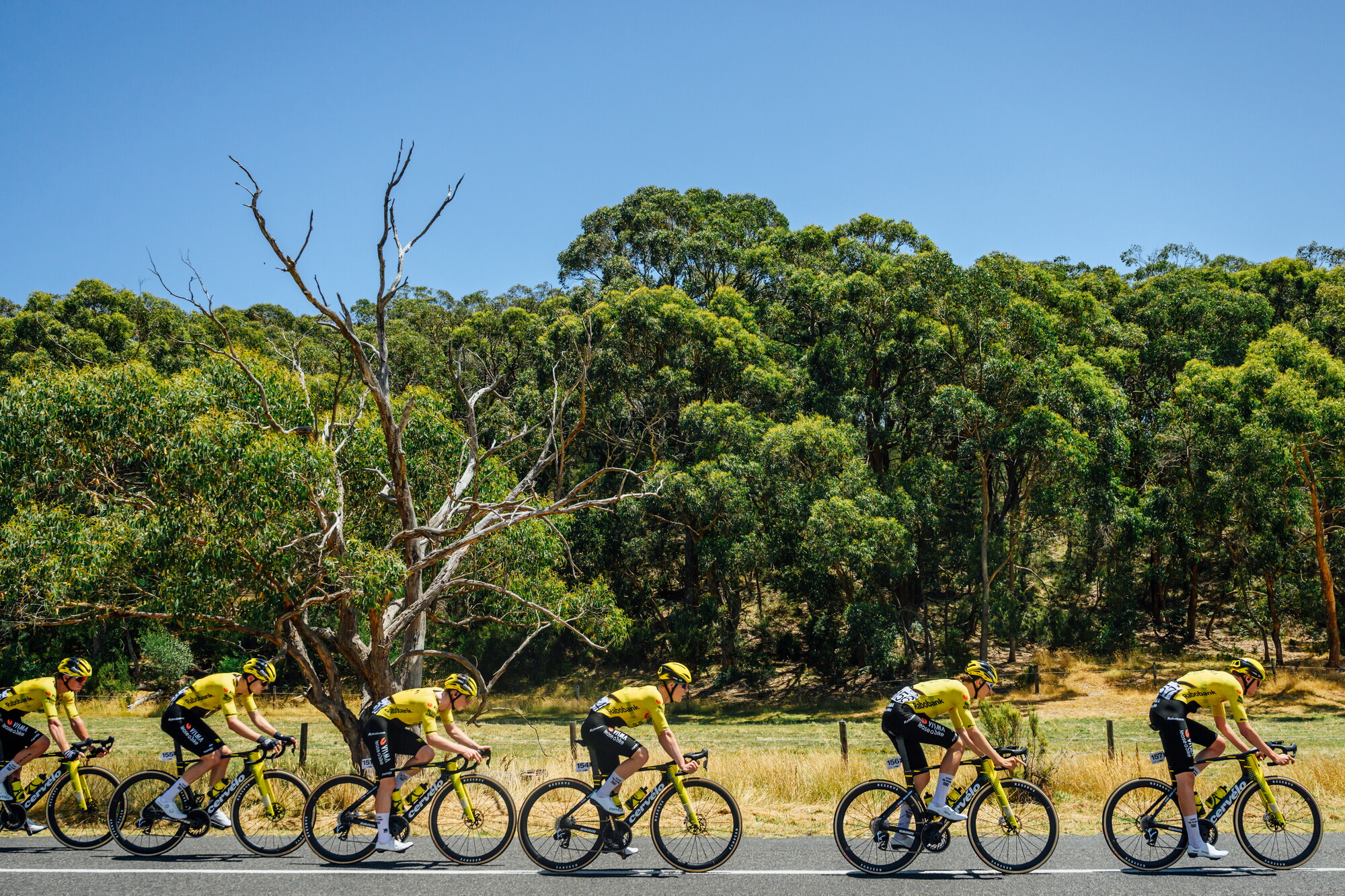 CAuldPhoto-2026-TDU-Stage5-Men-7238.jpg
