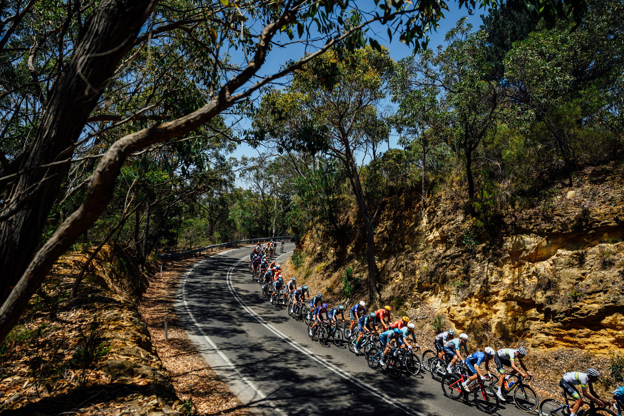 CAuldPhoto-2026-TDU-Stage5-Men-7530.jpg