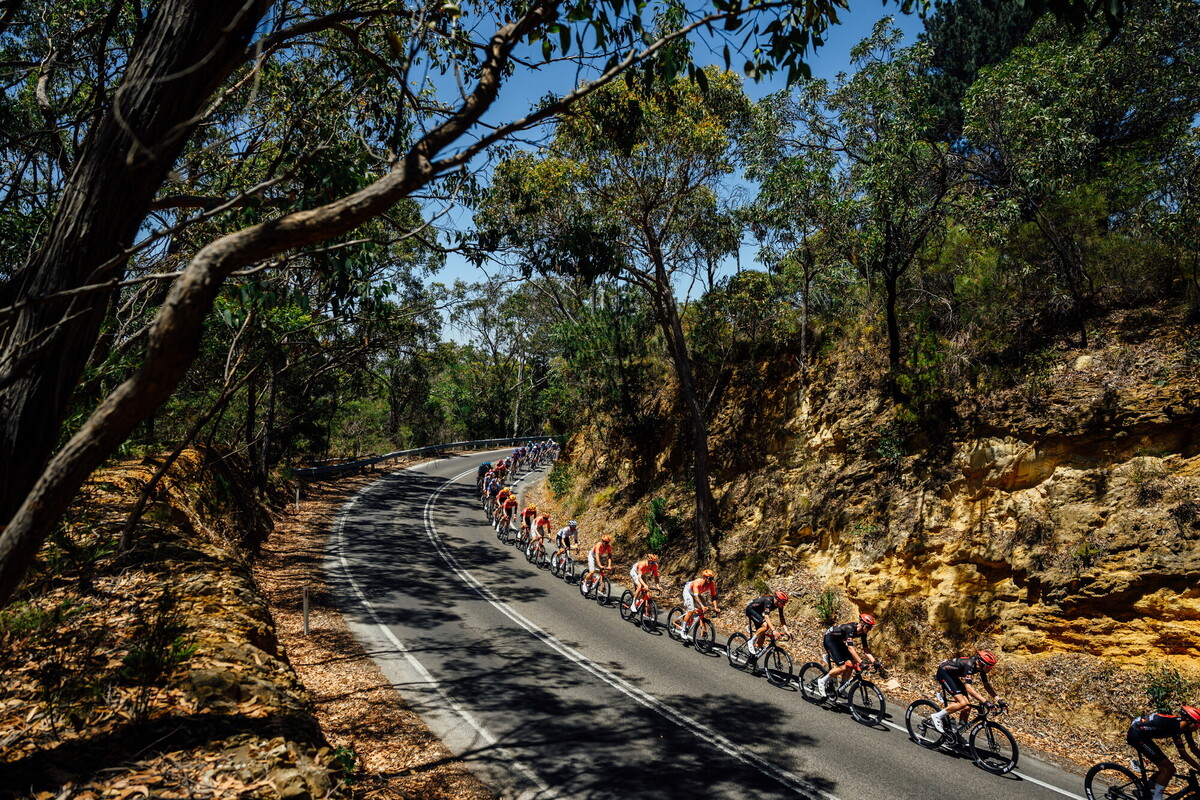 CAuldPhoto-2026-TDU-Stage5-Men-7461.jpg