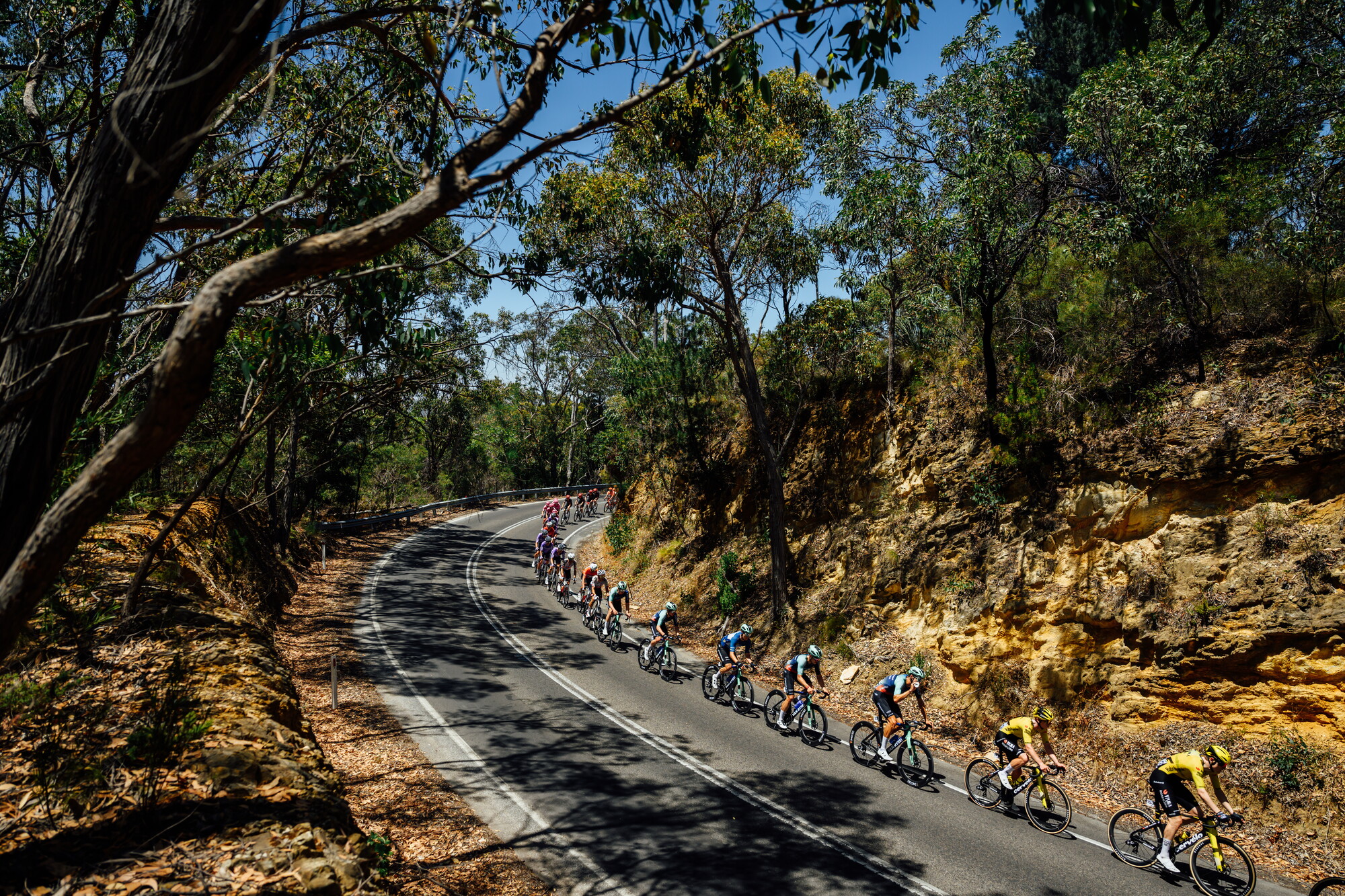 CAuldPhoto-2026-TDU-Stage5-Men-7408.jpg